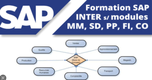 formation-sap-modules-mm-sd-pp-fi-co-bruxelles