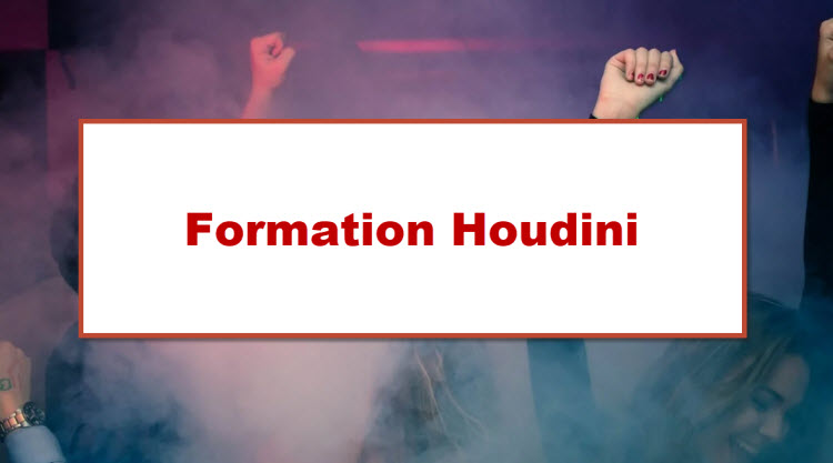 Effets de fumée et ambiance de fête illustrant la formation Houdini à Bruxelles pour la création d'effets spéciaux et de simulations 3D réalistes.