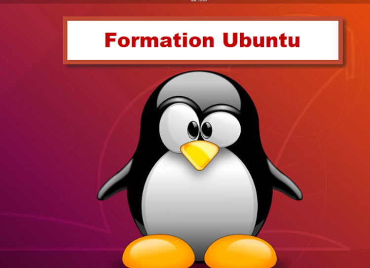 Mascotte Linux Tux avec texte « Formation Ubuntu » – Formation administration Linux à Bruxelles, Belgique.