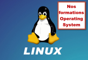 Logo de Linux avec la mascotte Tux, illustrant la formation sur les systèmes d’exploitation Linux à Bruxelles.