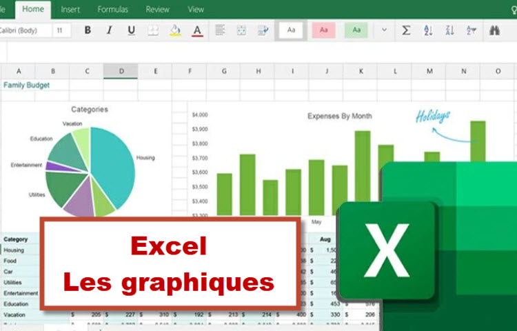 Capture d’écran d’un fichier Excel affichant des graphiques en secteurs et en barres, illustrant une formation sur la visualisation des données avec Excel.