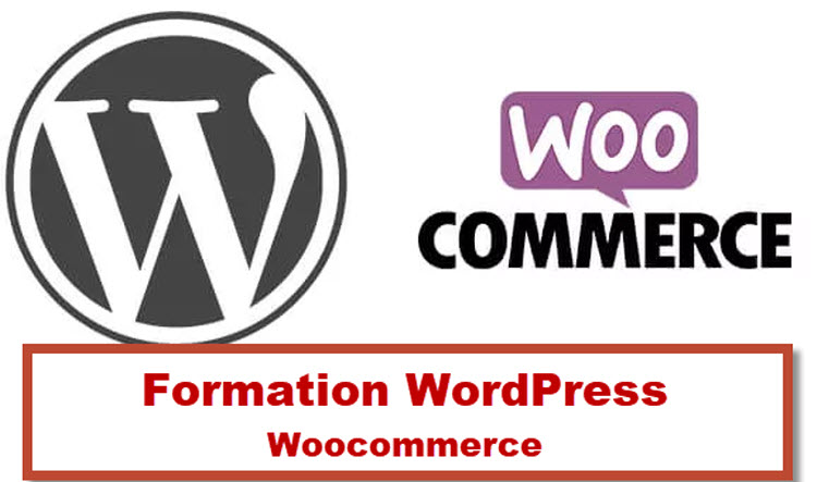 Logo de WordPress et WooCommerce illustrant une formation WooCommerce à Bruxelles pour la création de sites e-commerce.